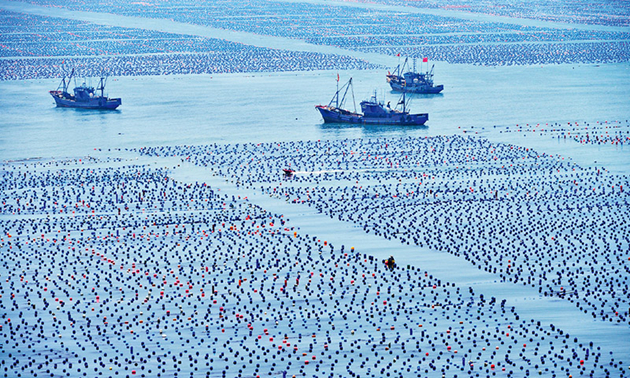 抓好海洋资源开发保护 为建设美丽中国提供蓝色动力