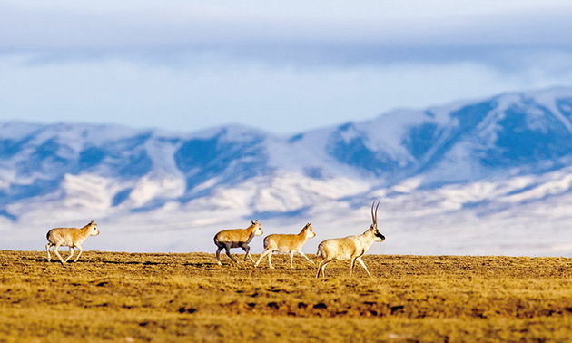 深入学习领会习近平总书记关于全面深化改革的重要论述