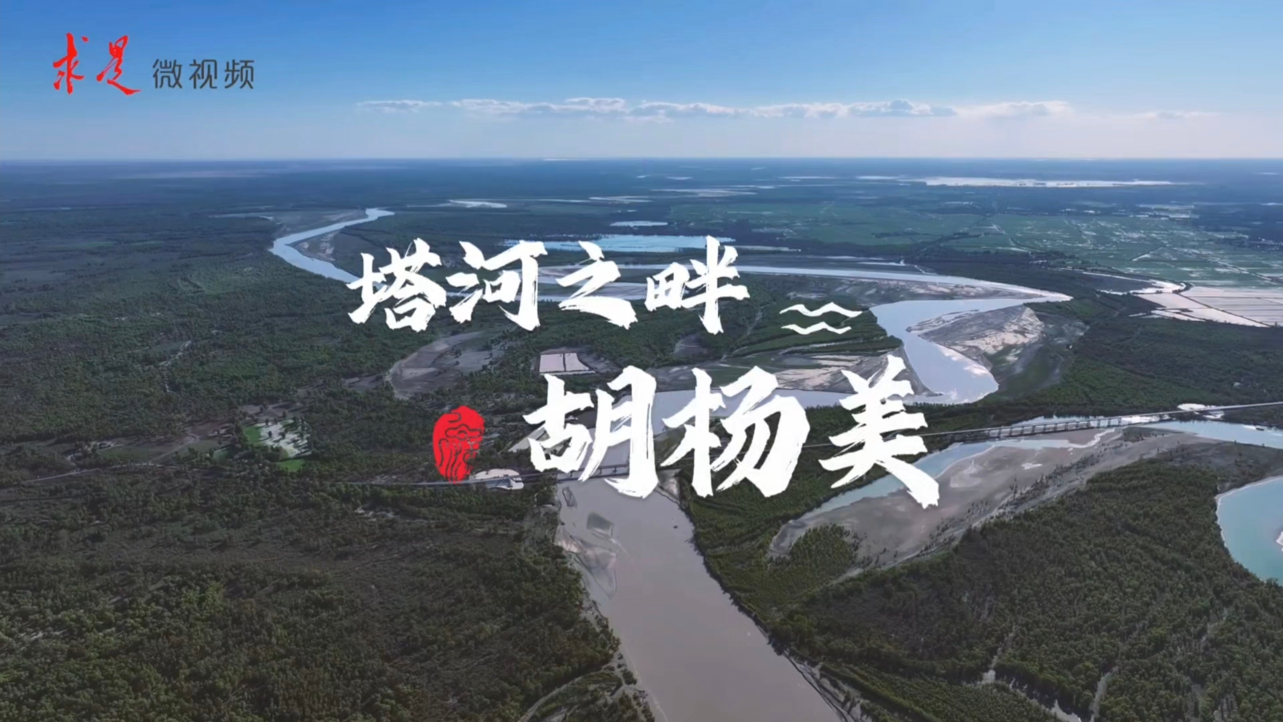 绿染荒漠 点沙成金｜塔河之畔胡杨美