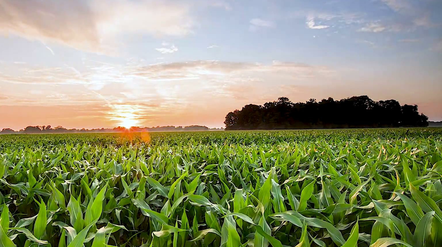 黑土地上的现代化大农业